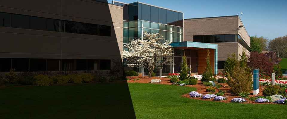 Peterstown Landscapers