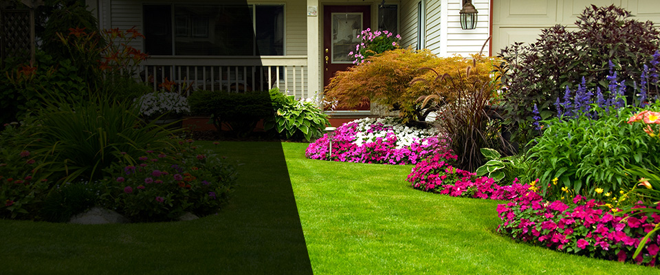 Peterstown Landscapers