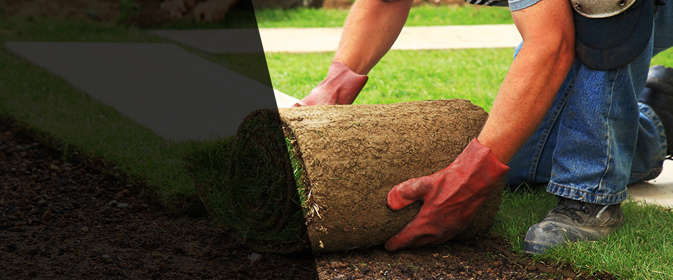 Peterstown Landscapers